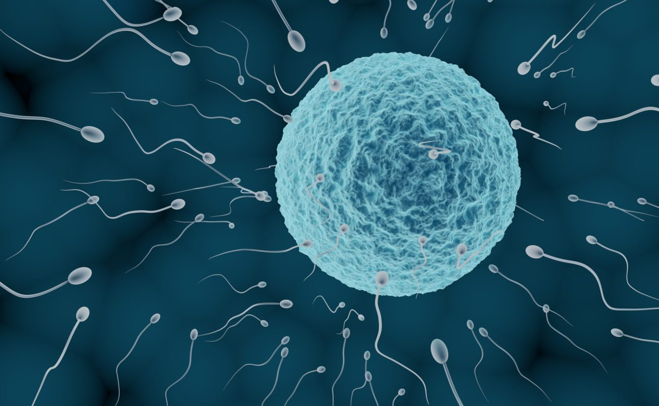 Emotional breakdown during IVF journey, what to do when sperm quality is low?